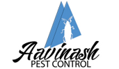 Pest Control Service in Chennai