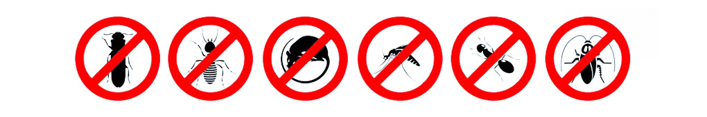 Pest Control Service in Chennai