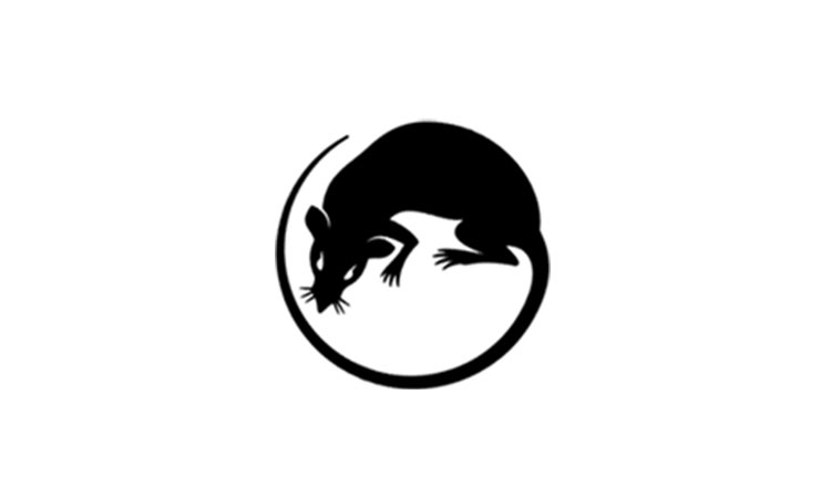 Rodent Rodent Control Services in Chennai