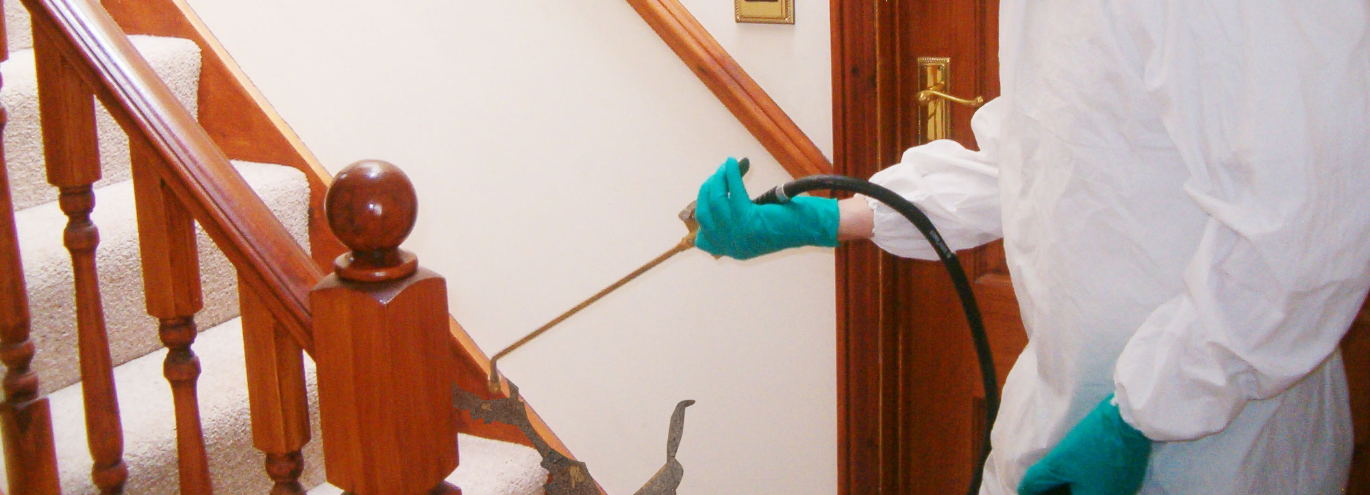 Pest Control Service in Chennai