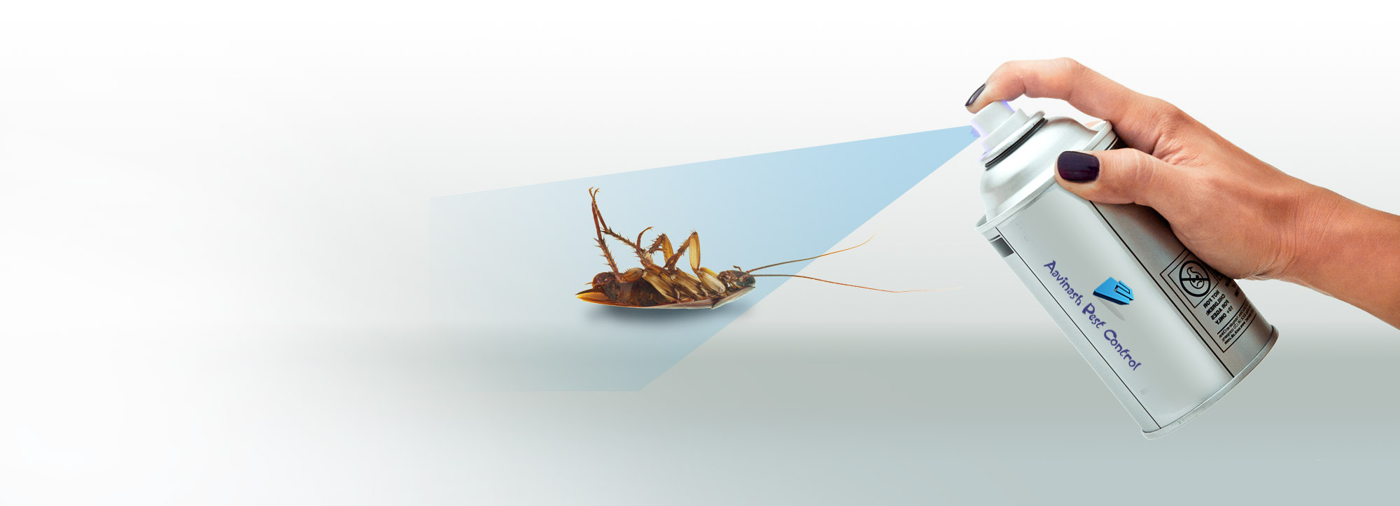 Pest Control Service in Chennai